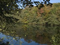 NL, Gelderland, Arnhem, Zijpendaal 8, Saxifraga-Marijke Verhagen